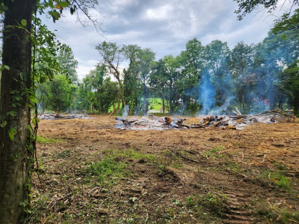Can Timber Help Offset Your Land Clearing Costs?
