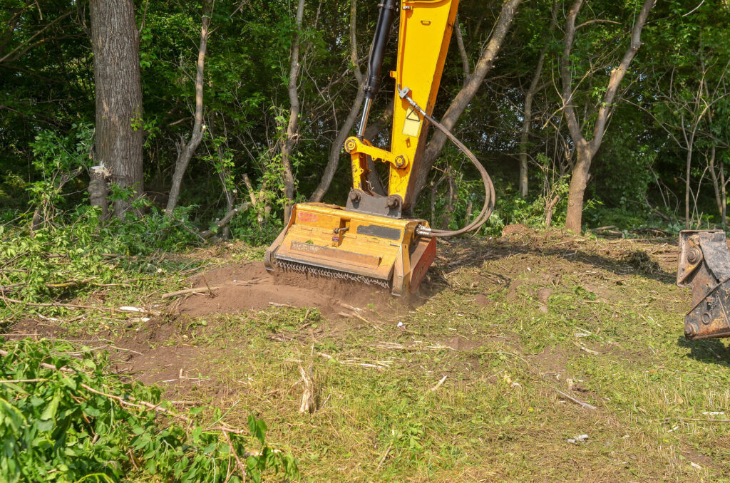 Forestry Mulching or Land Clearing: Which Is Right for Your Property?