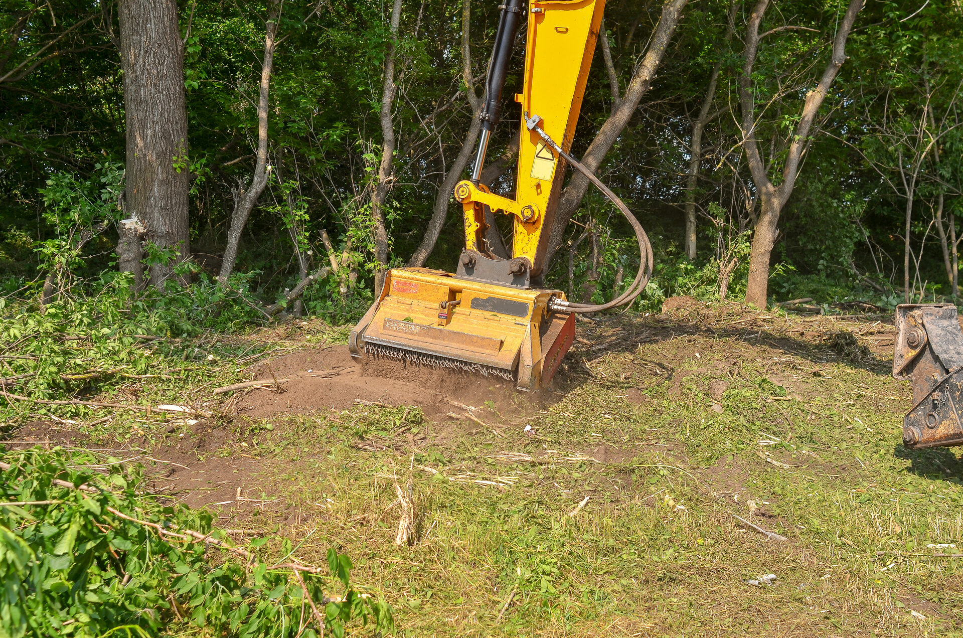Forestry Mulching or Land Clearing: Which Is Right for Your Property?