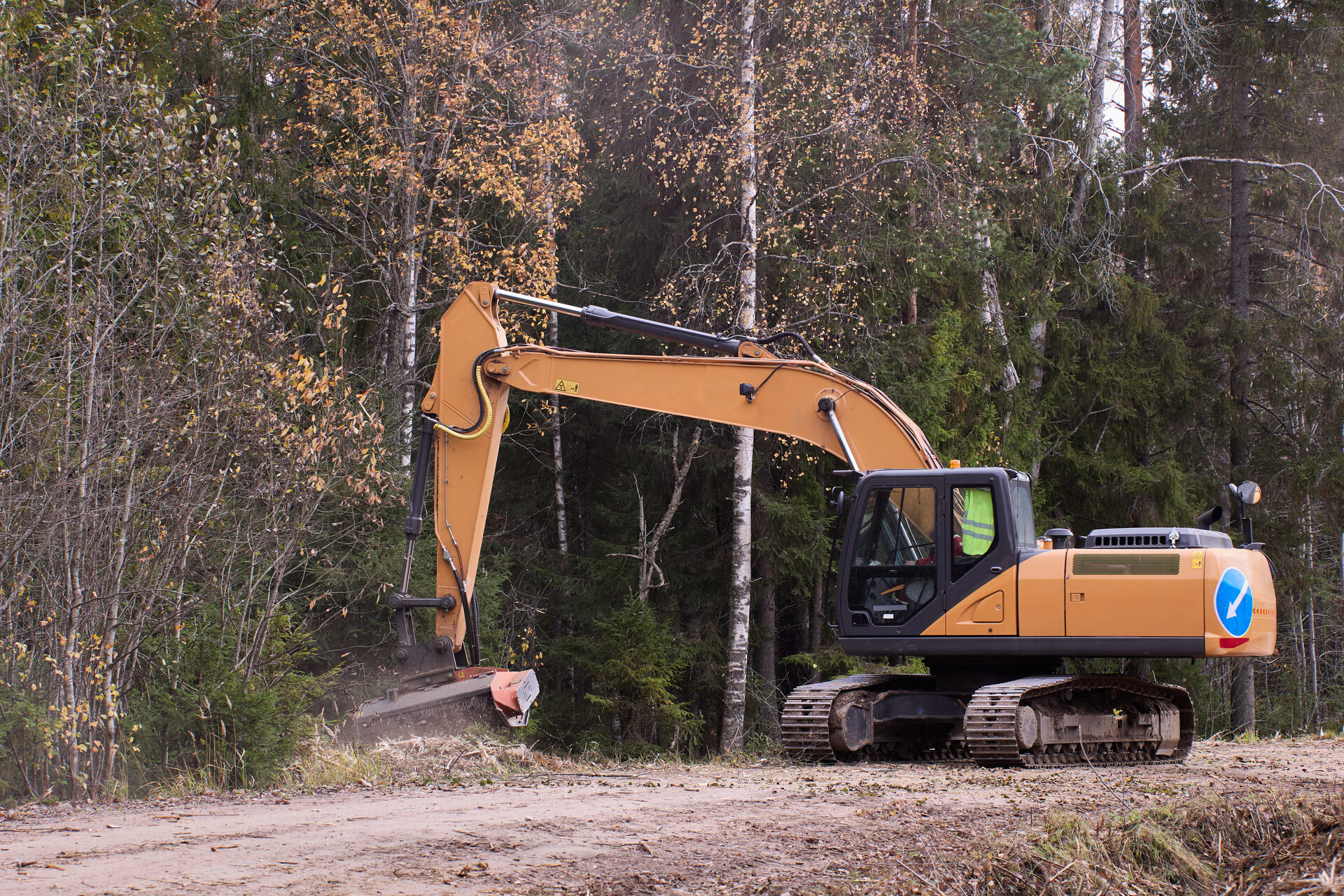 How Land Clearing Can Improve Farms and Pastures