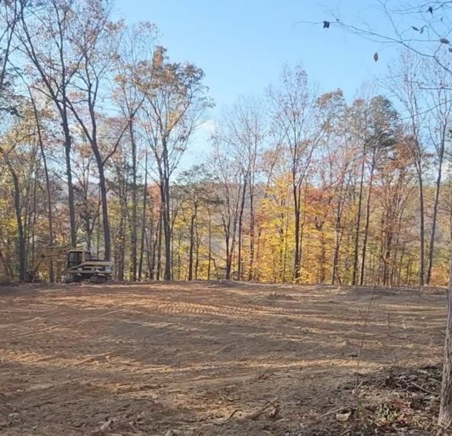 How Much Does Land Clearing Cost in Middle Tennessee?
