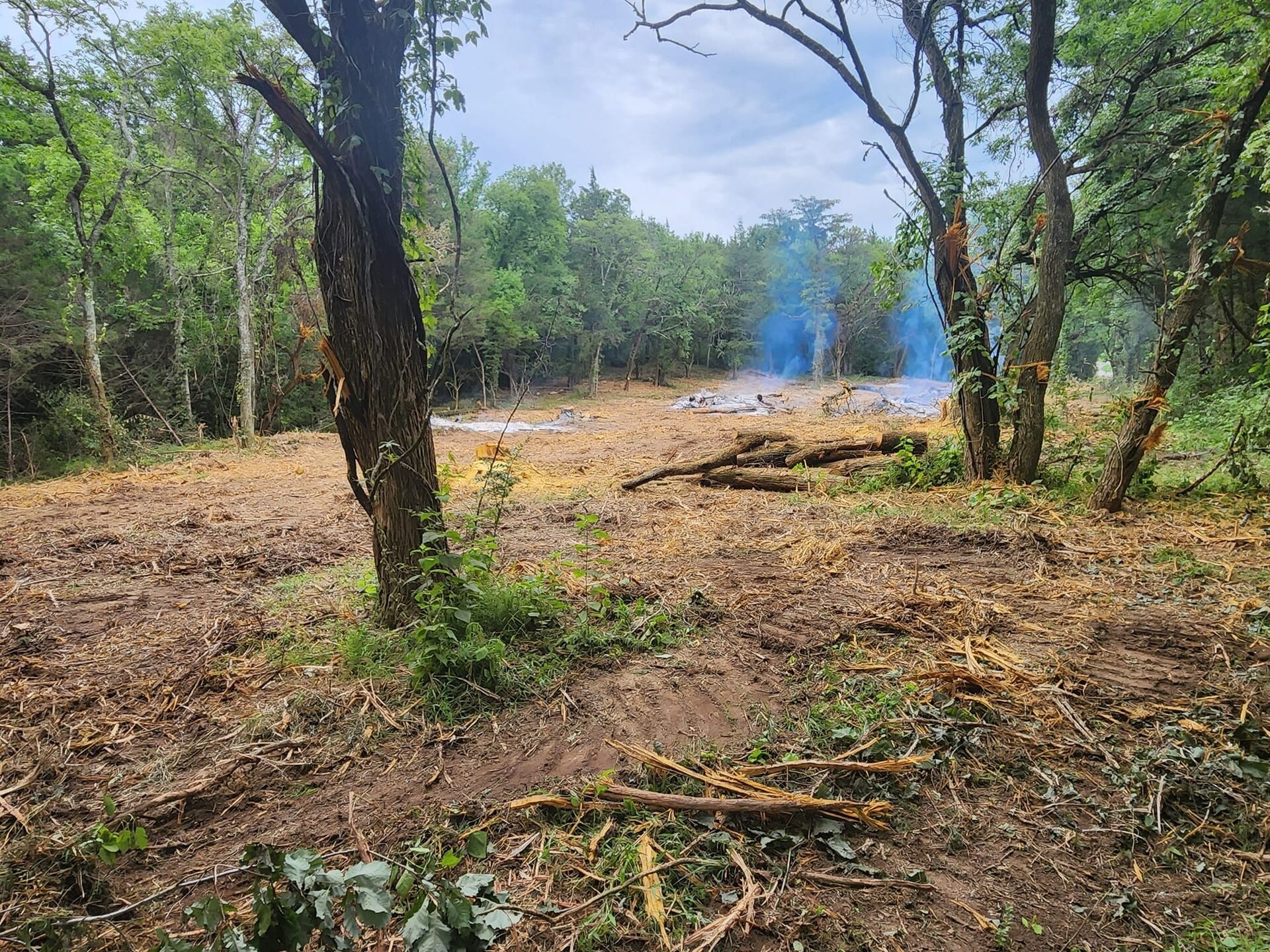 Land Clearing vs. Site Clearing: What's the Difference?